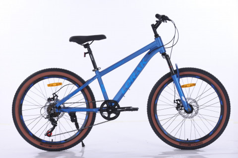 LORAK Fast Brown 24 Матовый Синий